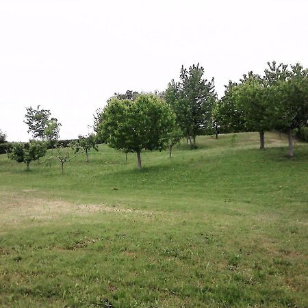 Casa In Campagna _Lori Volta Mantovana Zewnętrze zdjęcie