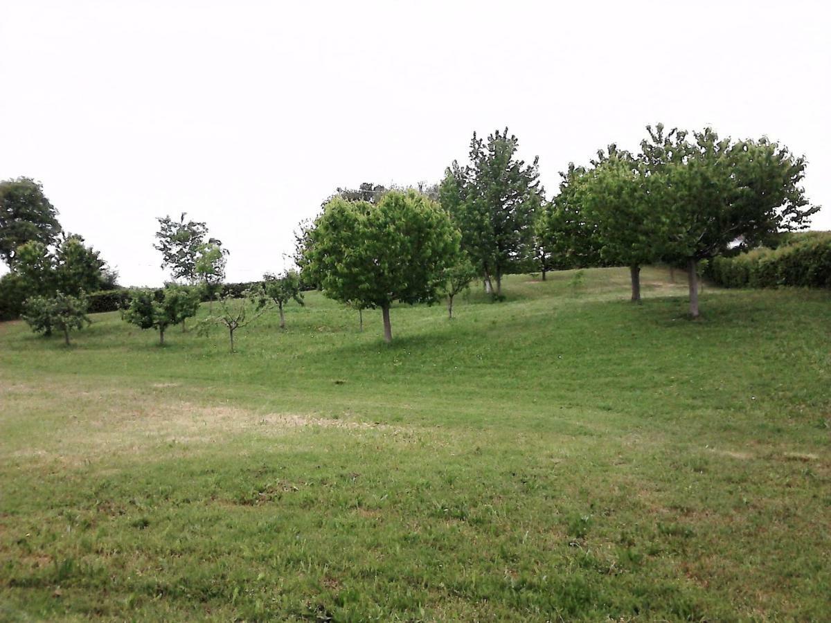 Casa In Campagna _Lori Volta Mantovana Zewnętrze zdjęcie