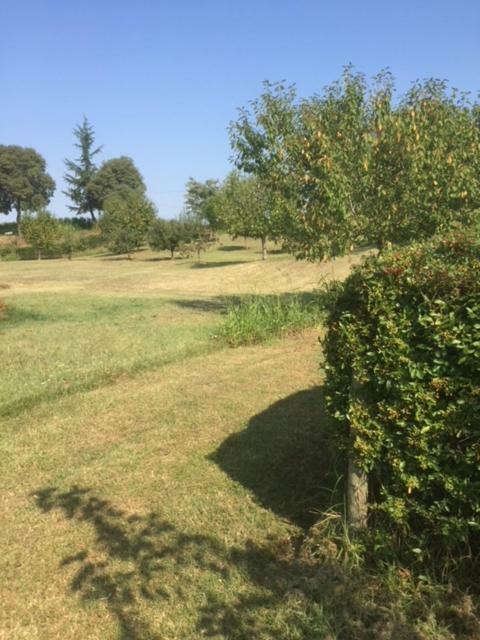 Casa In Campagna _Lori Volta Mantovana Zewnętrze zdjęcie