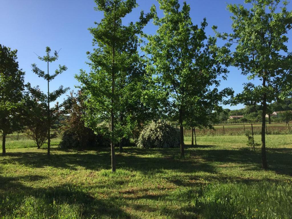 Casa In Campagna _Lori Volta Mantovana Zewnętrze zdjęcie